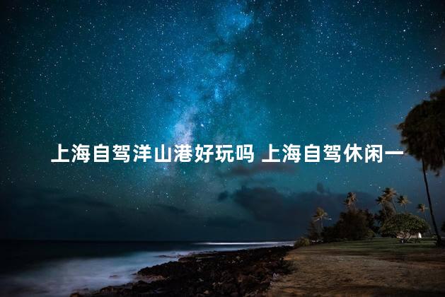 上海自驾洋山港好玩吗 上海自驾休闲一日游